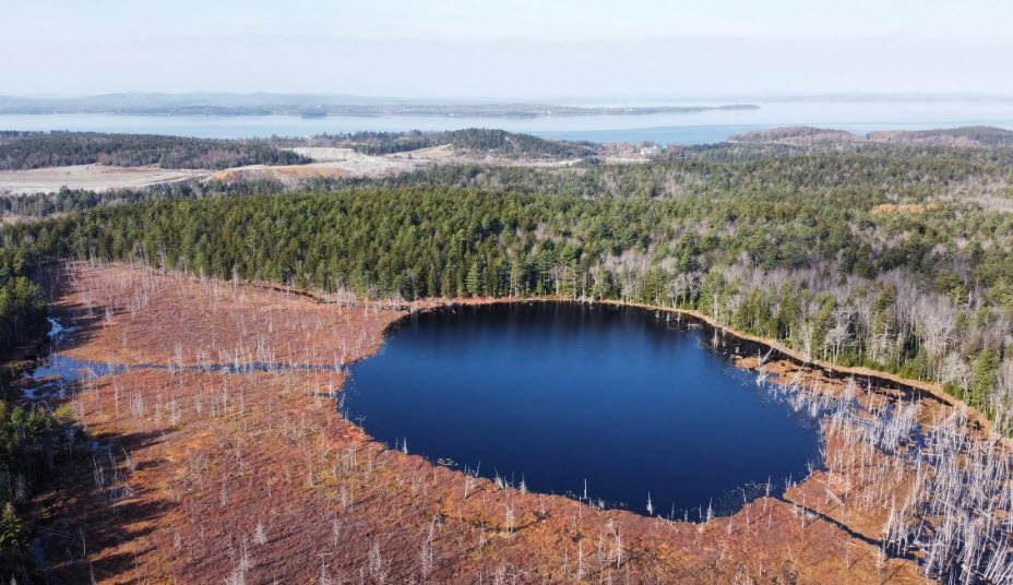 Holbrook Island Sanctuary, Maine, USA